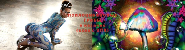 дмт Горняк