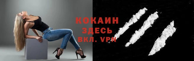 дмт Горняк
