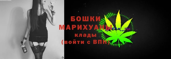 тгк Лагань