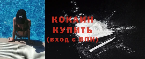 дживик Тихвин